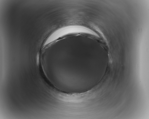 X0000089660019200707051538