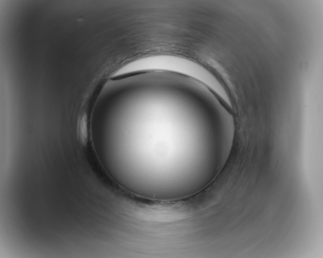 X0000089660020200707051538