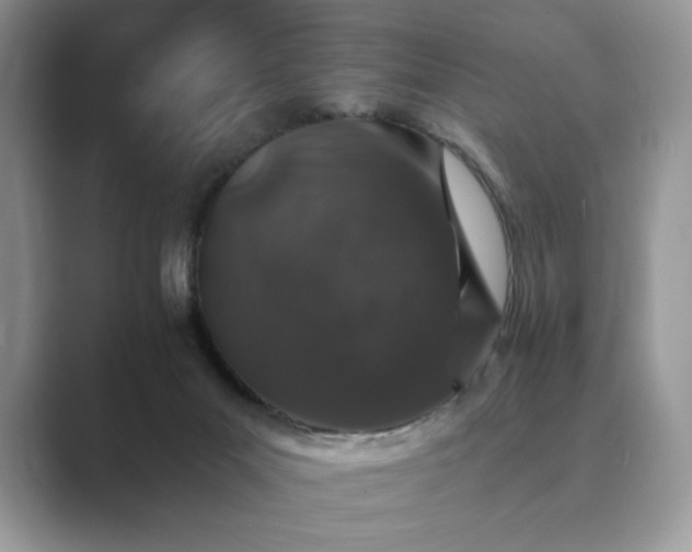 X0000089660023200707051538