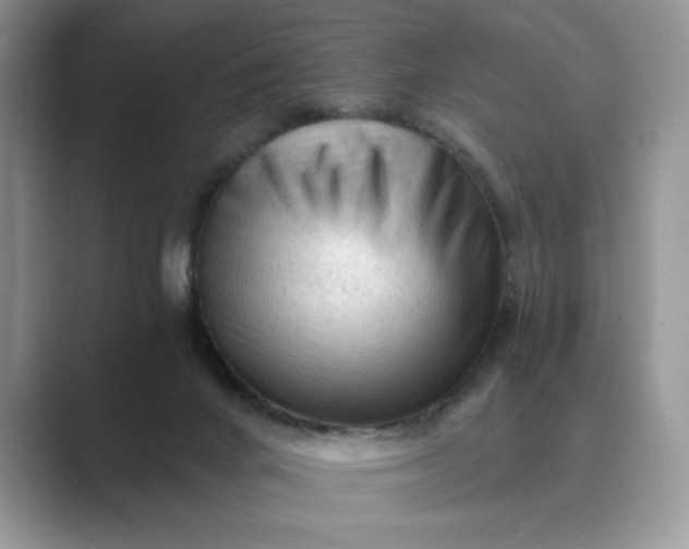 X0000089660024200707051538