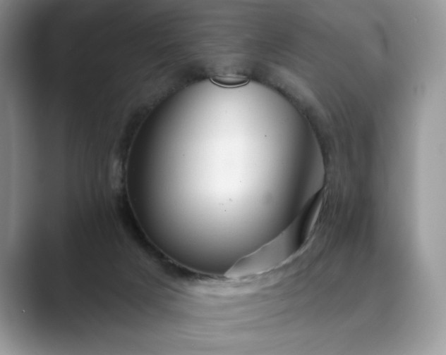 X0000089660025200707051538