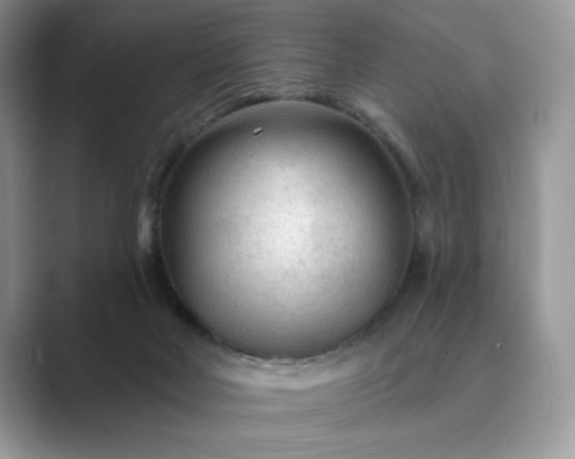 X0000089660026200707051538