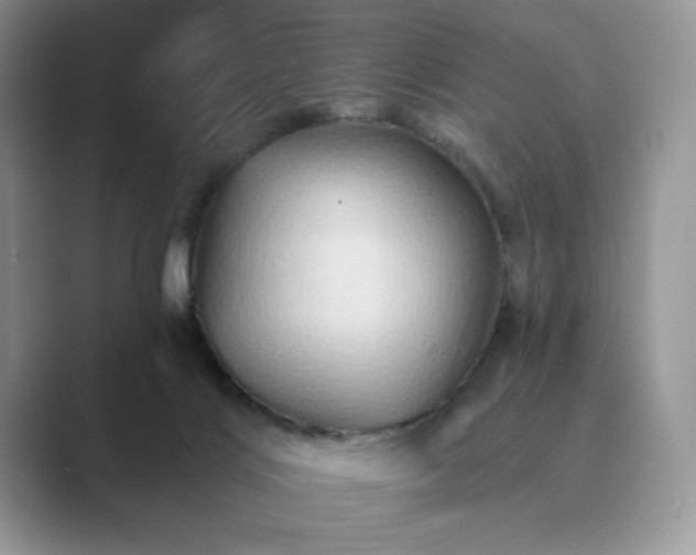 X0000089660028200707051538