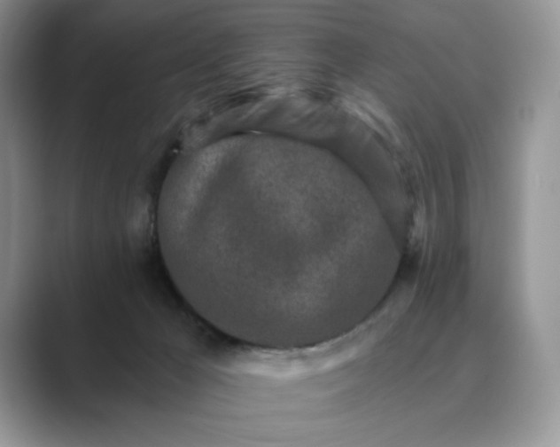 X0000089660029200707051538