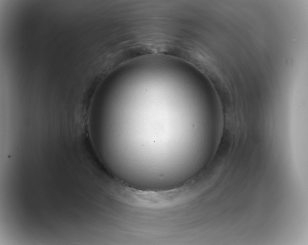 X0000089660030200707051538