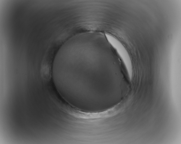 X0000089660031200707051538