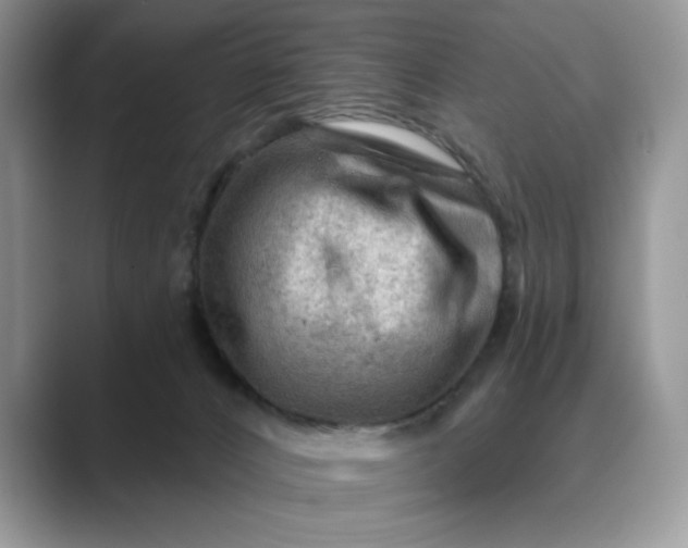 X0000089660032200707051538