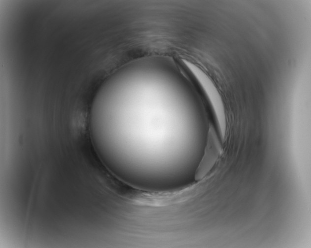 X0000089660033200707051538