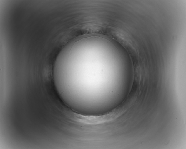 X0000089660034200707051538