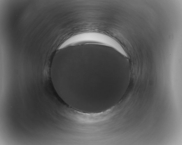 X0000089660035200707051538