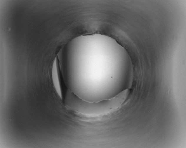 X0000089660037200707051538