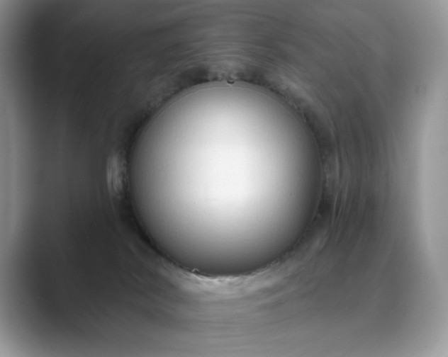 X0000089660038200707051538