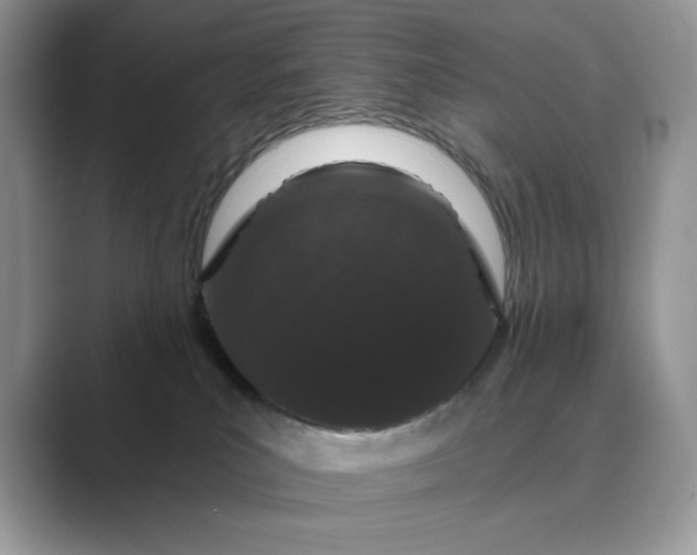 X0000089660039200707051538