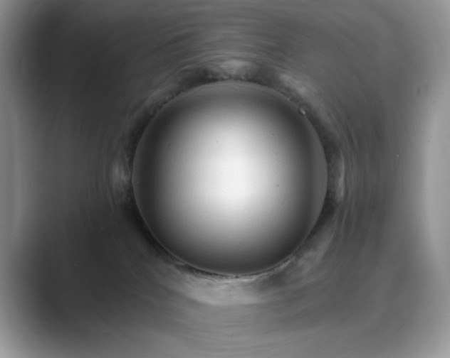 X0000089660040200707051538