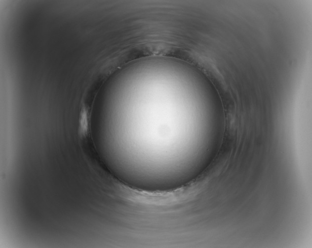 X0000089660042200707051538