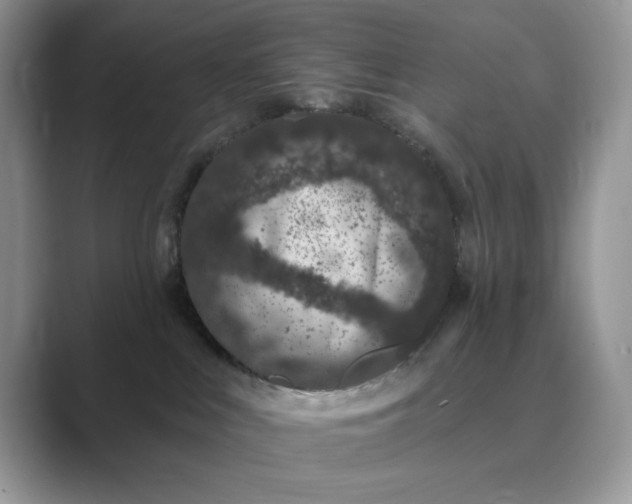 X0000089660043200707051538