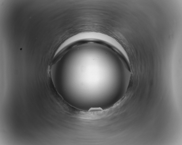 X0000089660045200707051538