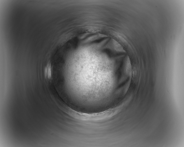 X0000089660046200707051538