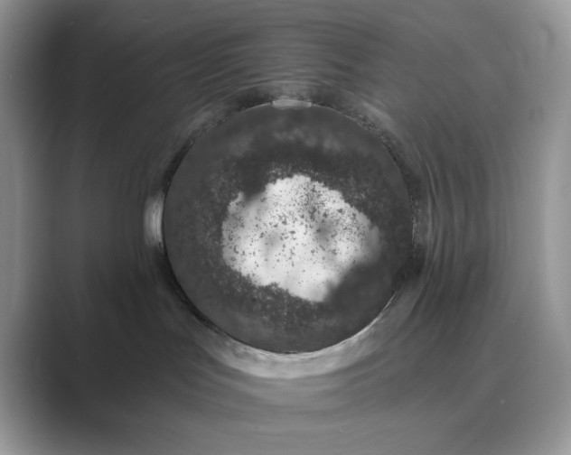 X0000089660047200707051538