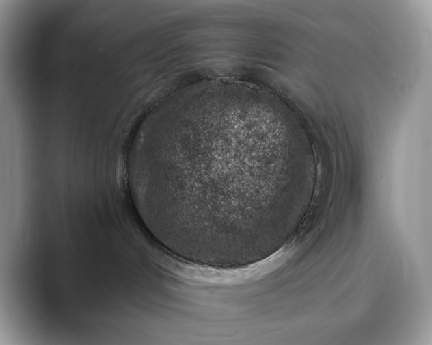 X0000089660048200707051538