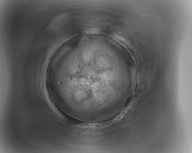 X0000089660049200707051537