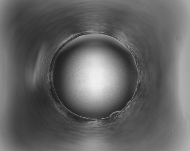 X0000089660050200707051537