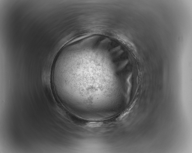 X0000089660051200707051537