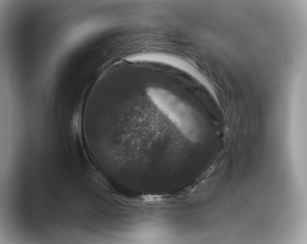 X0000089660052200707051537