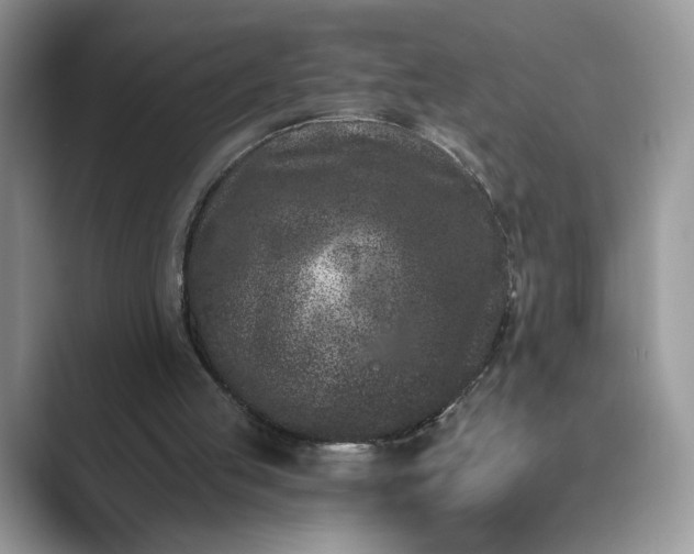 X0000089660053200707051537