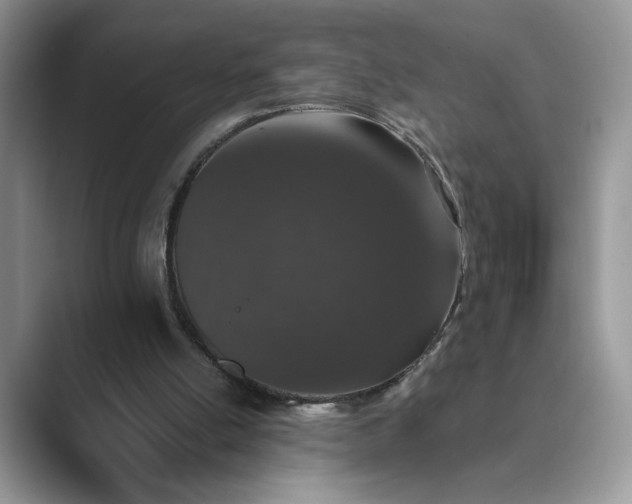 X0000089660054200707051537