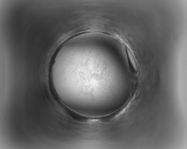 X0000089660055200707051537