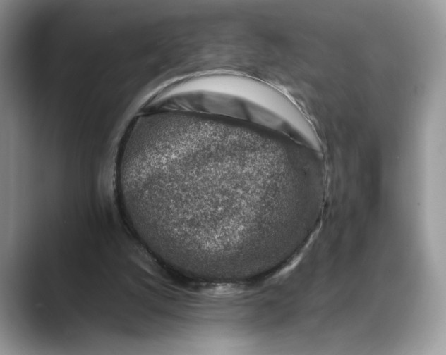 X0000089660056200707051537