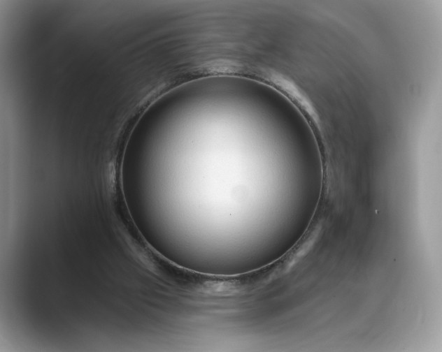 X0000089660057200707051537