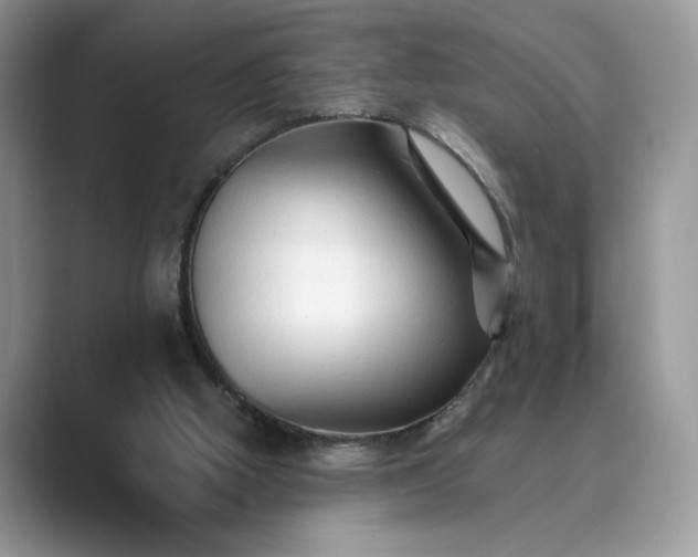 X0000089660058200707051537