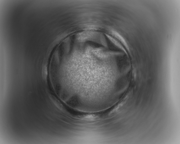 X0000089660059200707051537