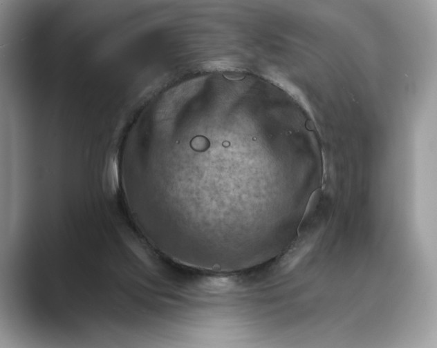 X0000089660061200707051537