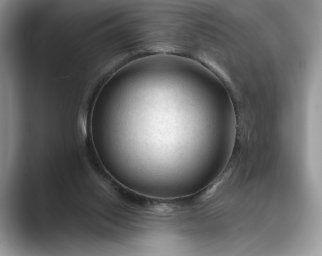 X0000089660062200707051537