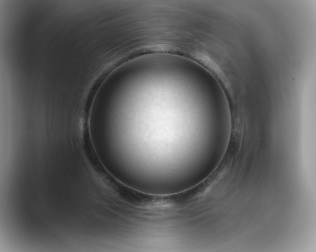 X0000089660063200707051537