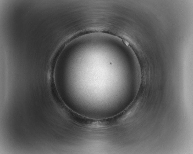 X0000089660064200707051537