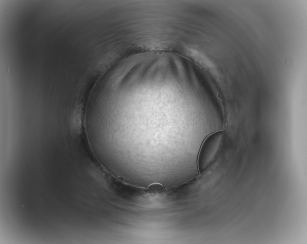 X0000089660065200707051537