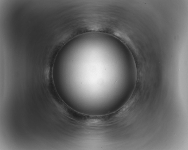 X0000089660066200707051537