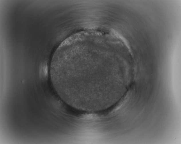 X0000089660067200707051537