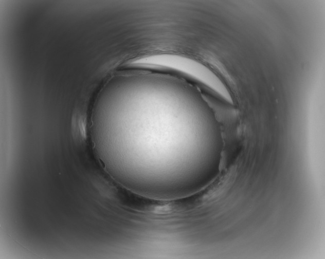 X0000089660068200707051537