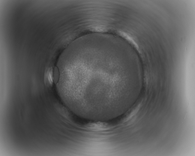 X0000089660069200707051538