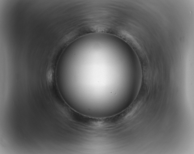 X0000089660071200707051538