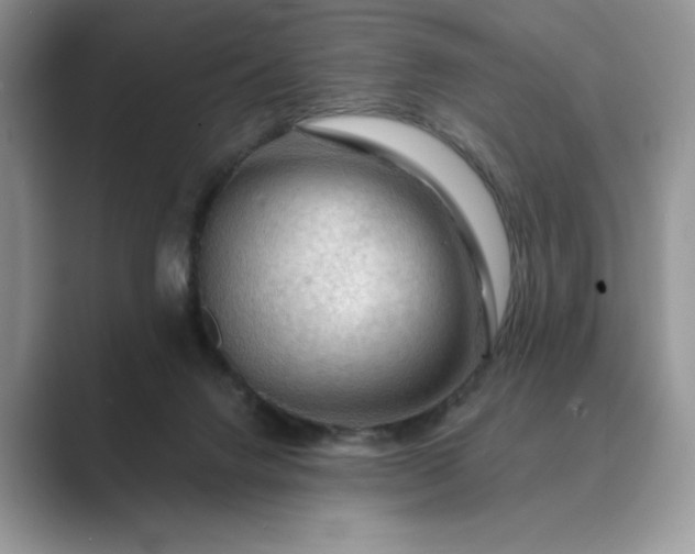 X0000089660072200707051538