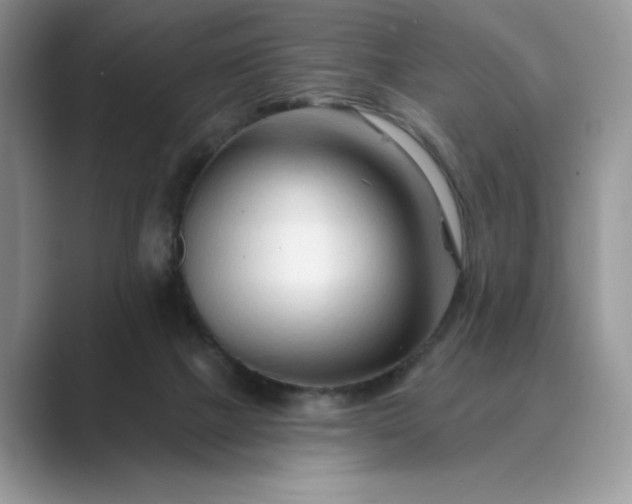 X0000089660073200707051538