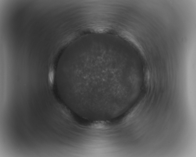 X0000089660076200707051538