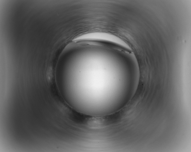 X0000089660077200707051538