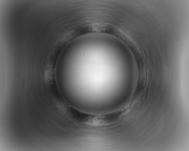 X0000089660078200707051538